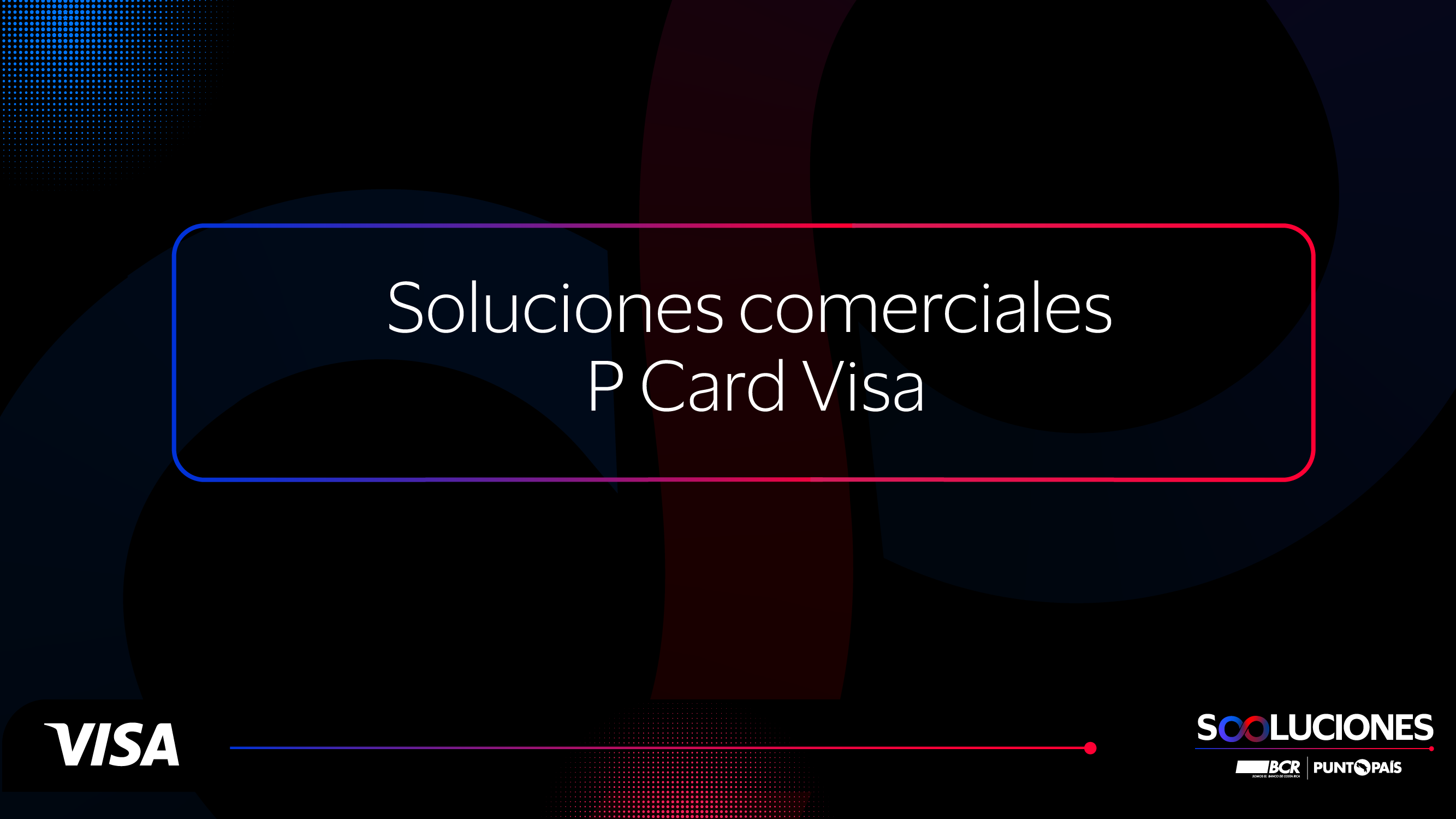 Soluciones comerciales P Card Visa